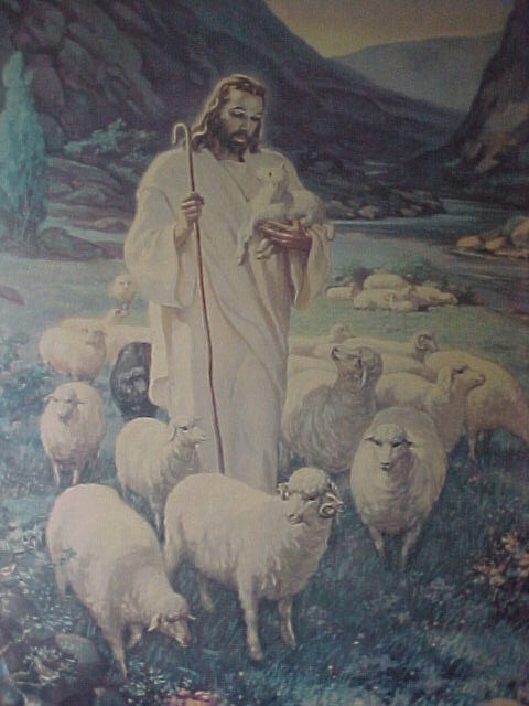 jesus the shepherd jesus the shepherd
